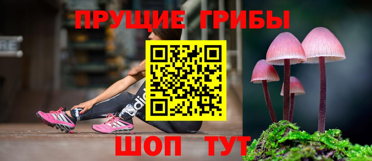 Псилоцибиновые грибы Magic Shrooms  Галлюциногенные грибы Psilocybine cubensis  купить наркотики цена  Вход с VPN  Южноуральск 